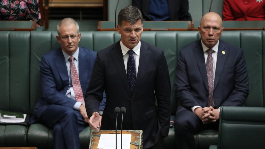 Taylor stands at the despatch box on the floor of the lower house.