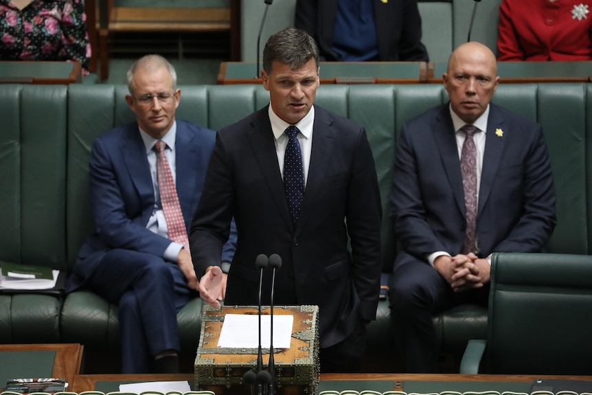 Taylor stands at the despatch box on the floor of the lower house.