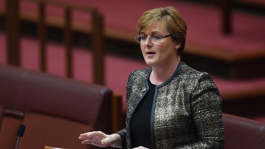 Senator Linda Reynolds speaks in the Senate