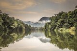 Low cloud hangs over a river, surrounded by tropical forest.