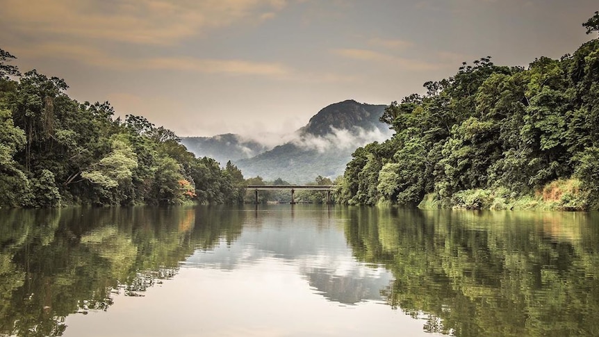 Low cloud hangs over a river, surrounded by tropical forest.