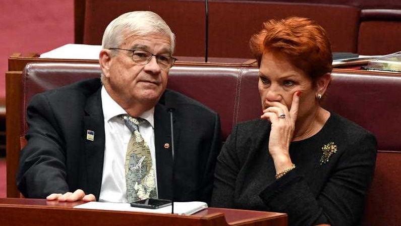 Brian Burston and Pauline Hanson at Parliament House in Canberra