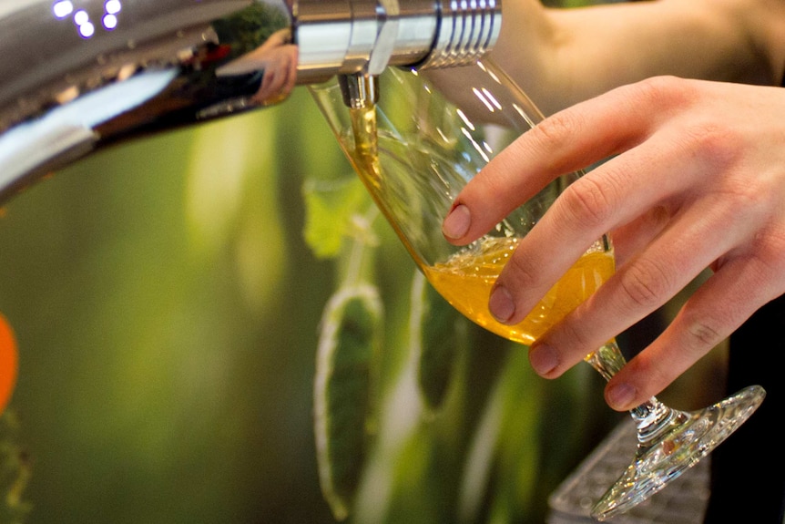 Beer is poured from a tap into a stemmed glass