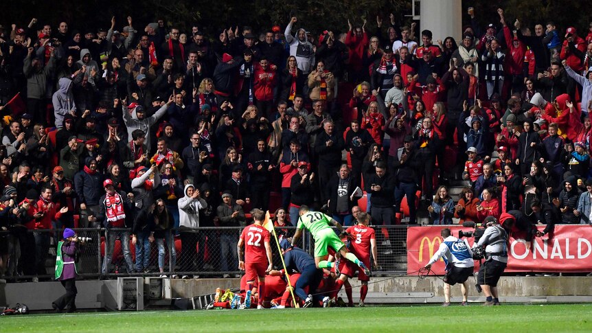 Adelaide United players jump into a pile of bodies in front of spectators in a grandstand
