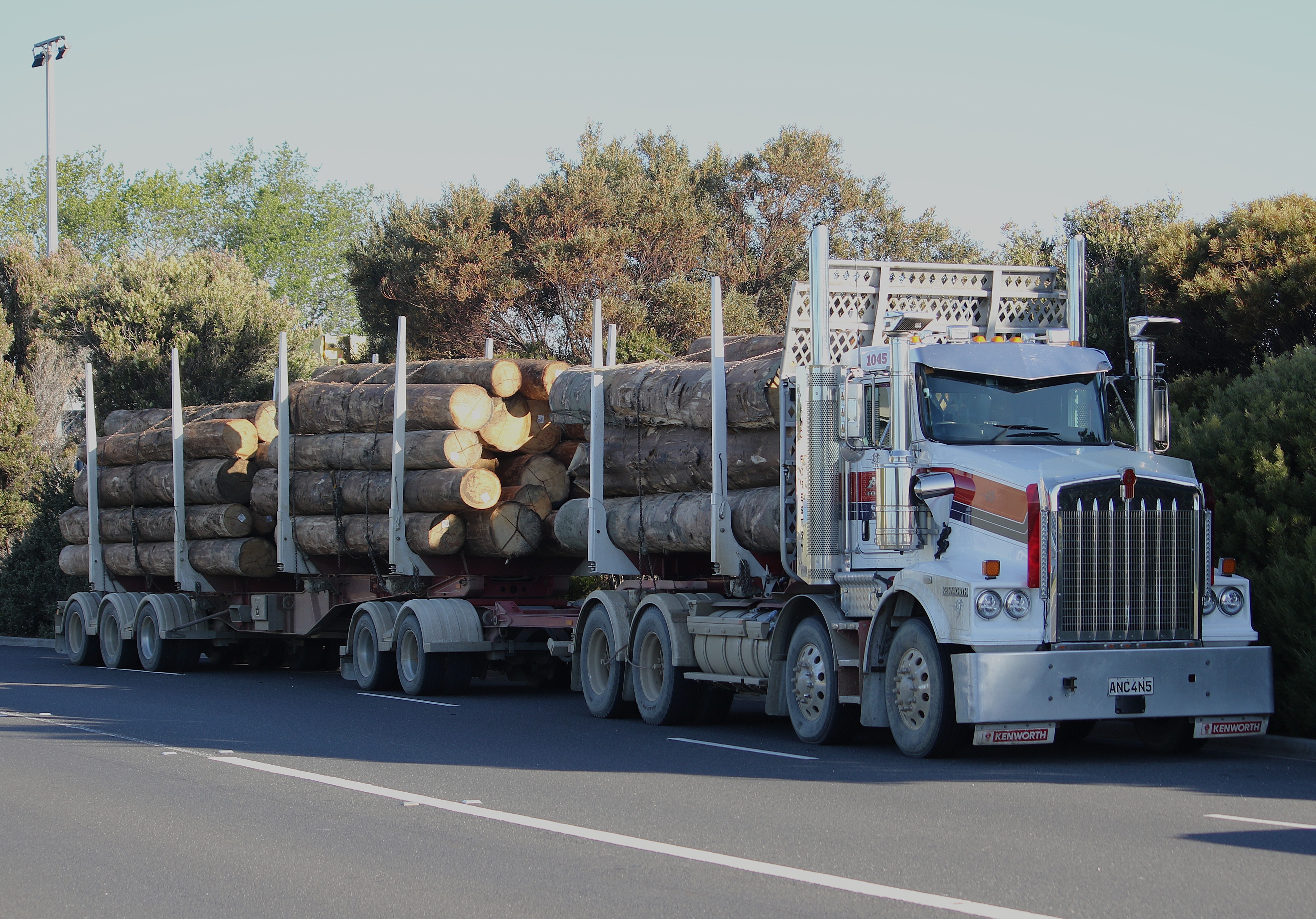 A semi-trailer loaded with logs on a road.