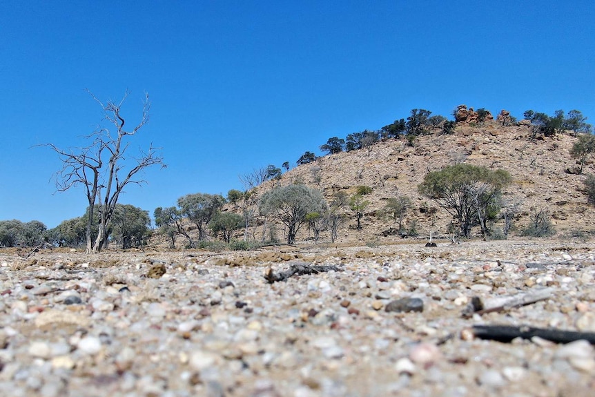 Starlights Lookout outside Longreach in western Queensland was part of Harry Readford's epic cattle heist