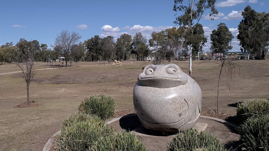 A statue of a Dreamtime frog in a park