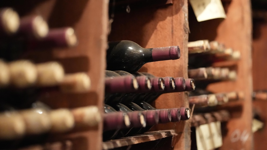 wine in a cellar 