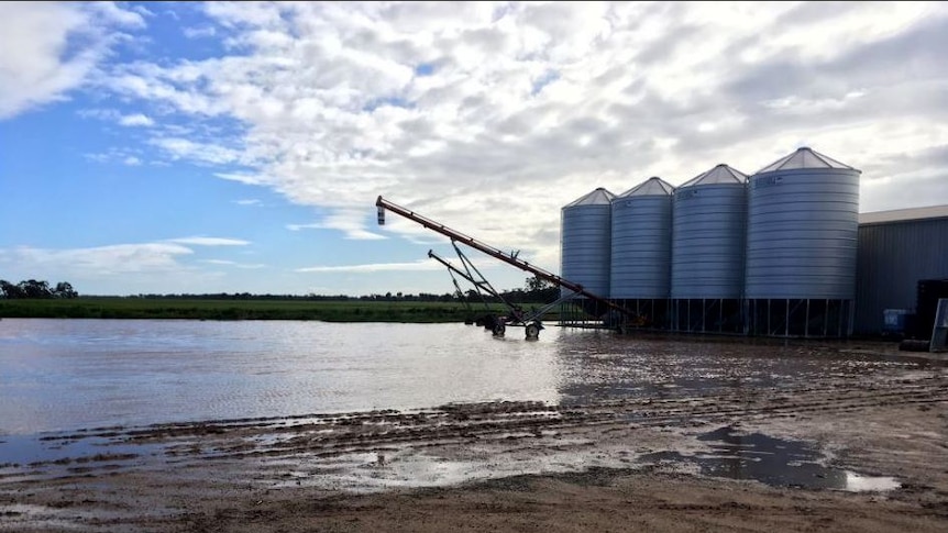 Water sits on paddocks at Boort in Victoria.