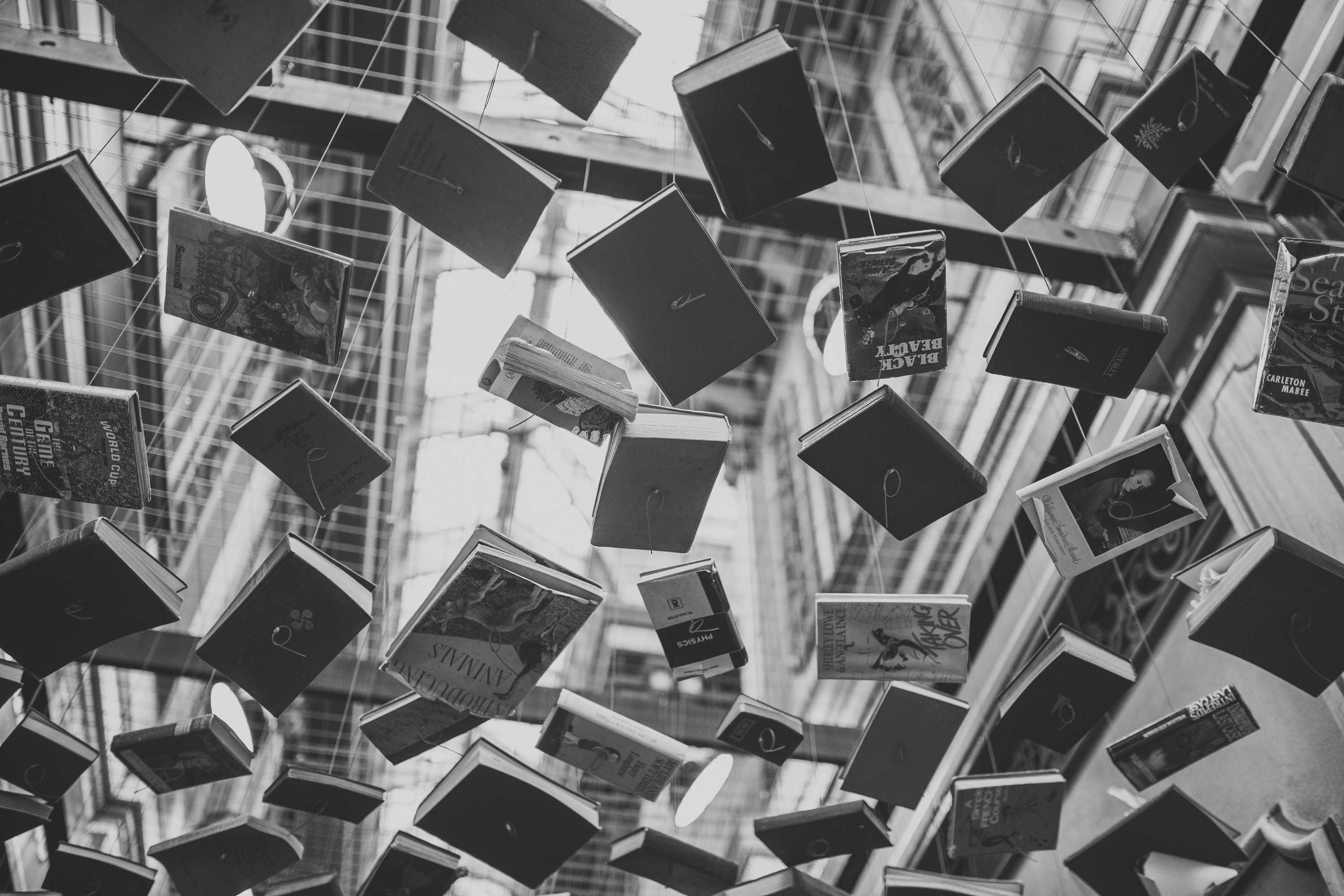 Podcast extra on NSW Premier's Literary Awards, Les Murray, translation in China and Holly Throsby's bookshelf episode artwork