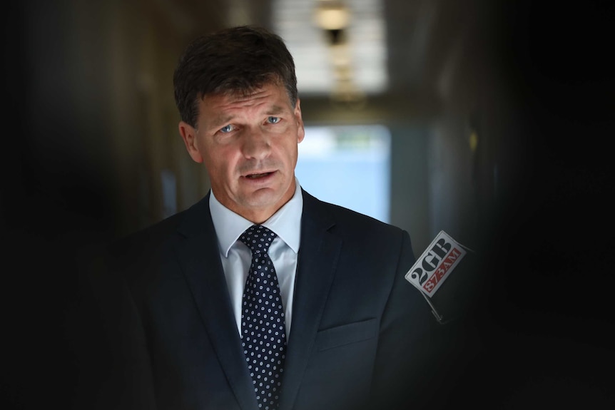 Energy Minister Angus Taylor speaks to the media at Parliament House in December 2018