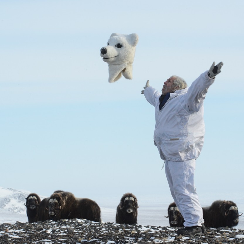 Joel Berger throws off his polar bear suit and spreads his arms as a group of muskoxen look on, in the Siberian Arctic