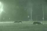 Flood mayhem: Cars submerged by flood waters in the Newcastle suburb of Kotara