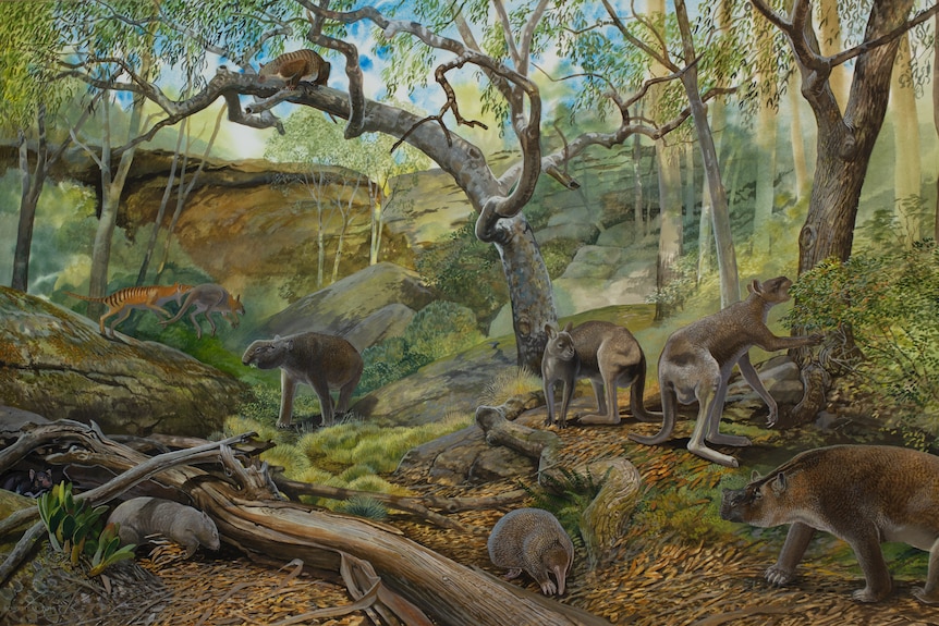 An artists impression of Australia 500 thousand yeas ago showing now-extinct mammals