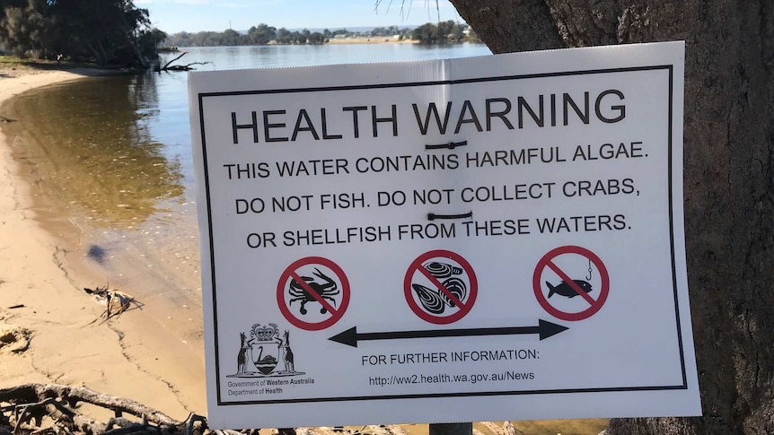 Warning signs over eating fish from the Swan River