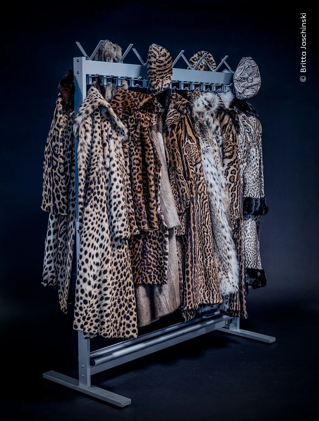 A rack of coats made from the skins of some of the most endangered big cats on Earth, including snow leopard, jaguar and ocelot