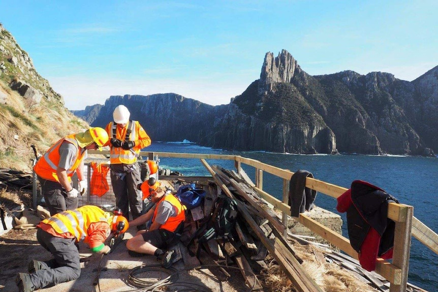 Parks staff work on Tasman Island