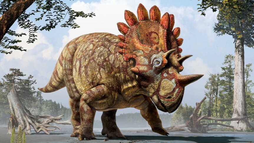Artistic impression of dinosaur Regaliceratops peterhewsi nicknamed 'Hellboy'