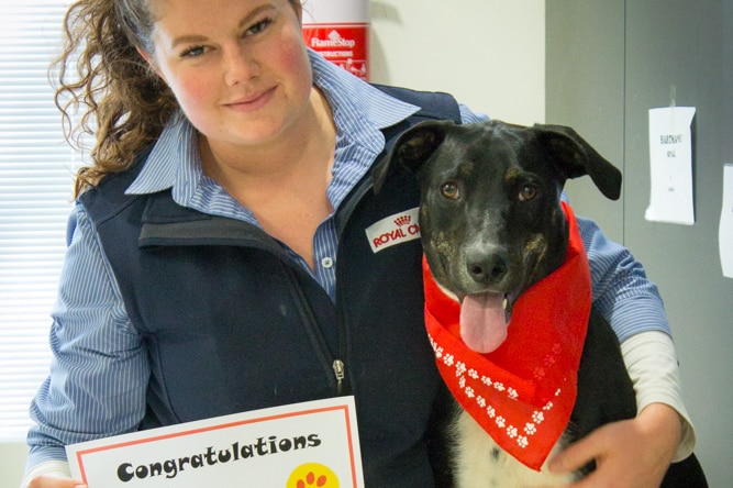 Lucy Platt with her arm around her dog, which is wearing a red bandana. Lucy is holding a certificate.