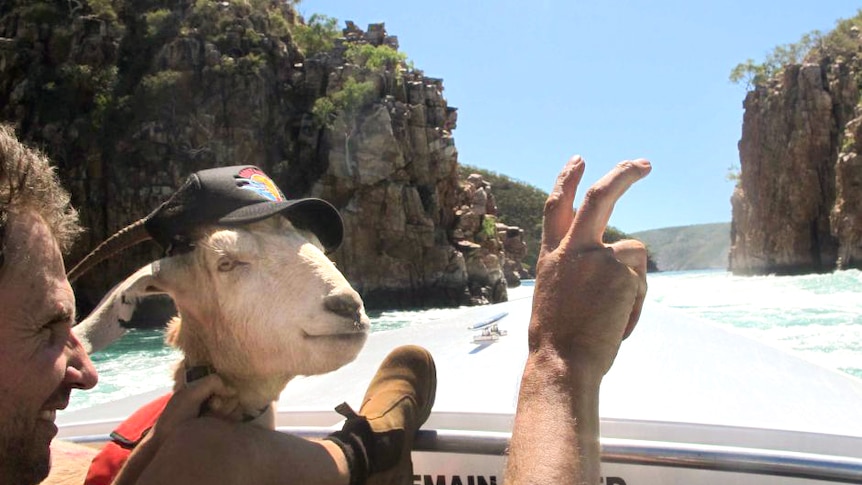 Gary the goat and his owner Jimbo in Western Australia, 2015
