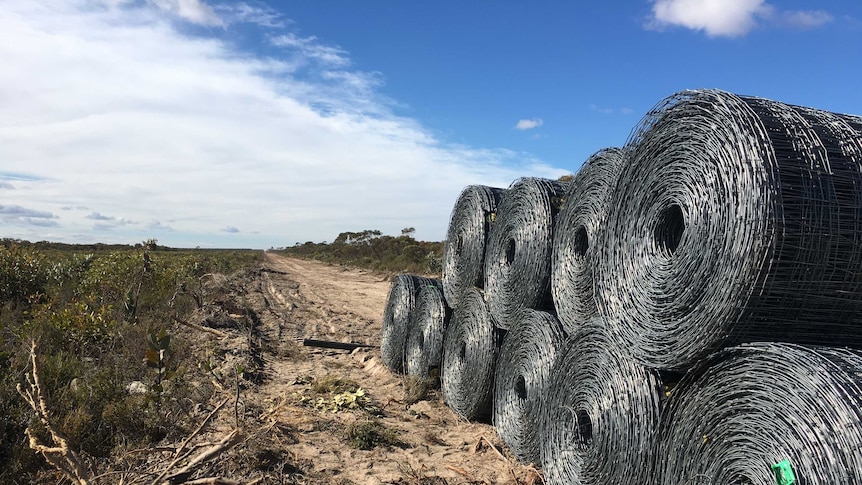 Fencing wire ready to construct