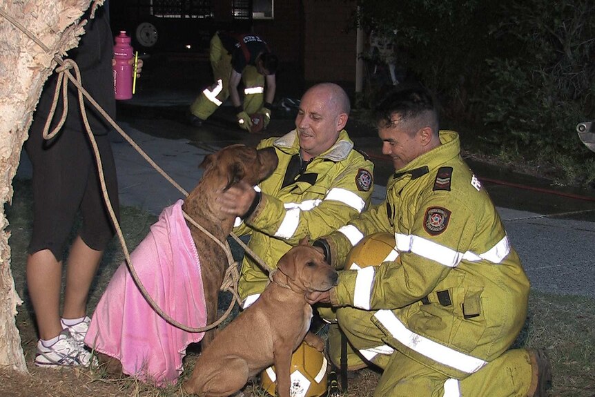 Pets pulled from burning home