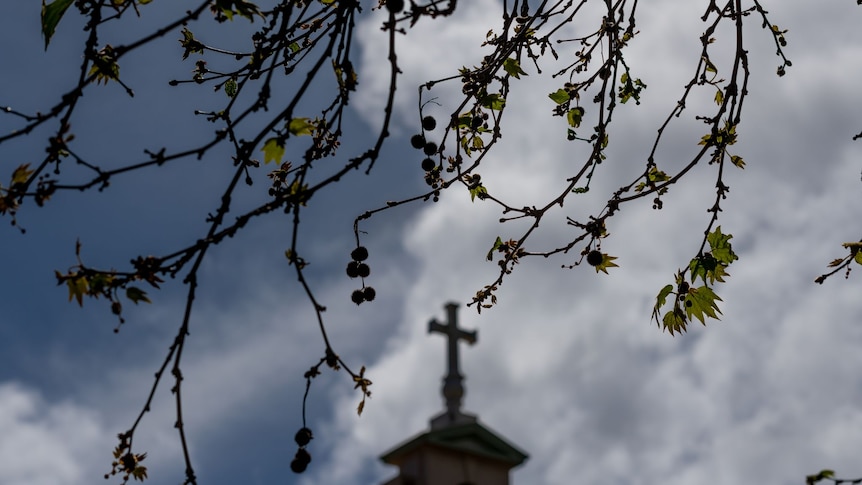 A cross at the top of a building with branches of a tree in front