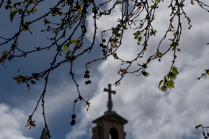 A cross at the top of a building with branches of a tree in front