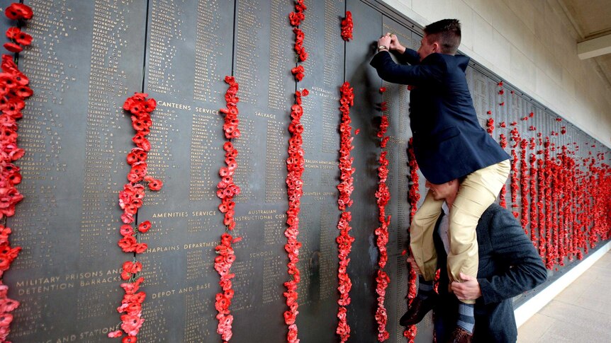 Members of the public place poppies at the Roll of Honour during Remembrance Day.