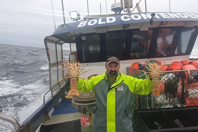 Bearded man holds up two large lobsters on the deck of a boat at sea