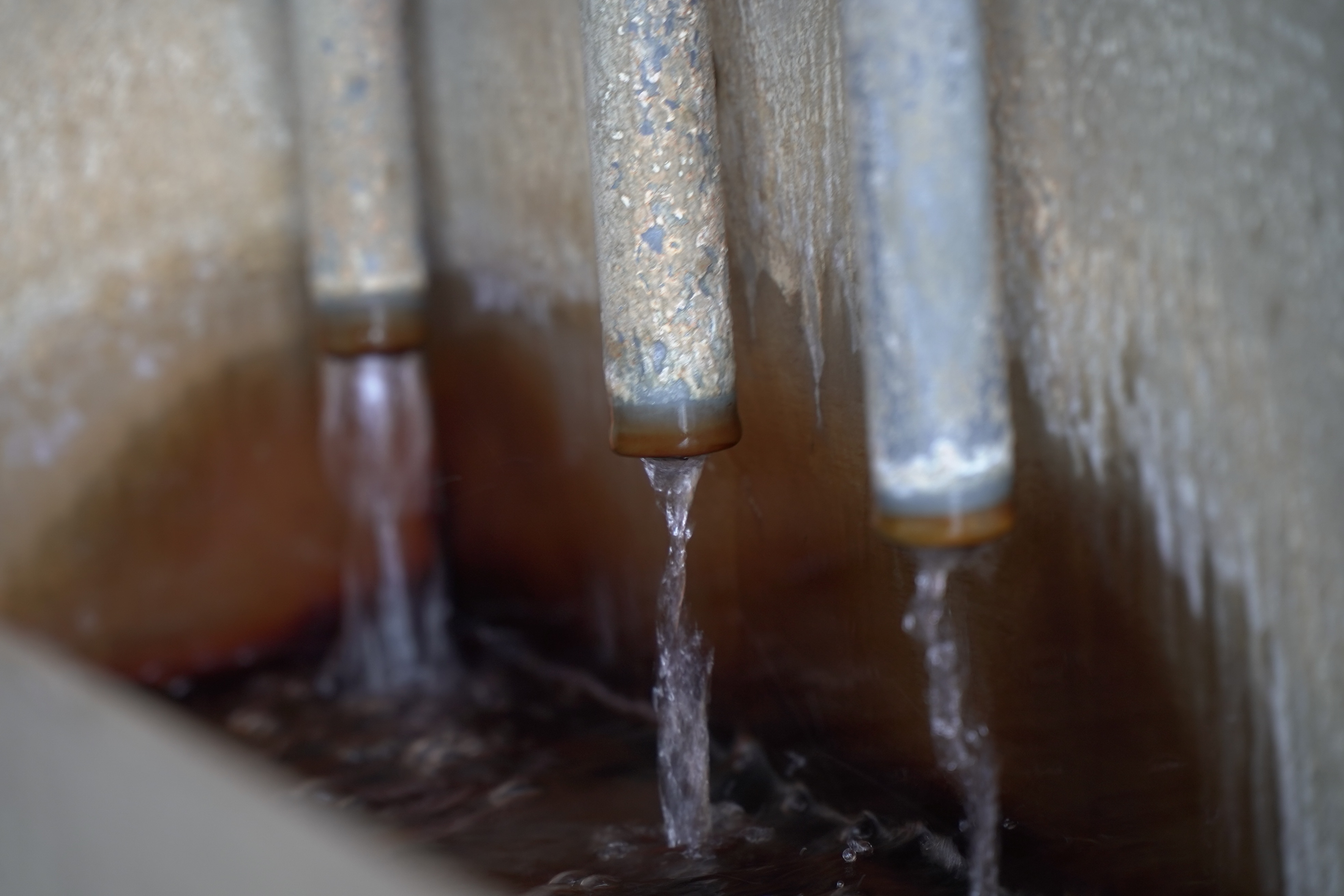 5ca03f08514c1a51e9edac368d7dfa08?impolicy=wcms_crop_resize&cropH=2624&cropW=3936&xPos=0&yPos=0&width=862&height=575