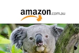Amazon's logo superimposed over a close-up of a koala.