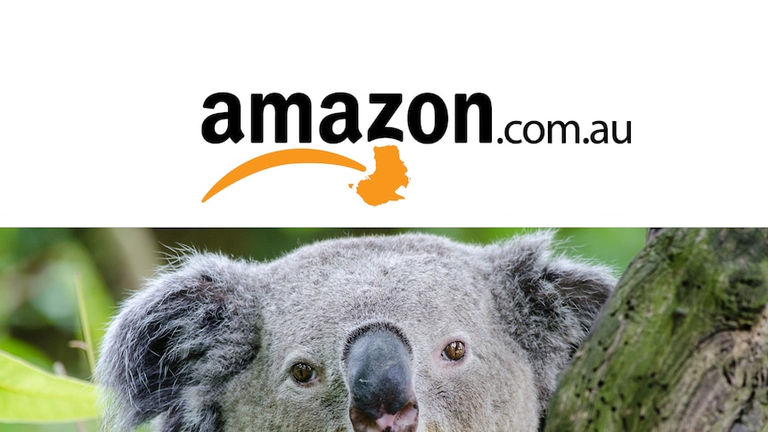 Amazon's logo superimposed over a close-up of a koala.