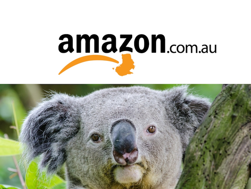 Amazon's logo superimposed over a close-up of a koala.