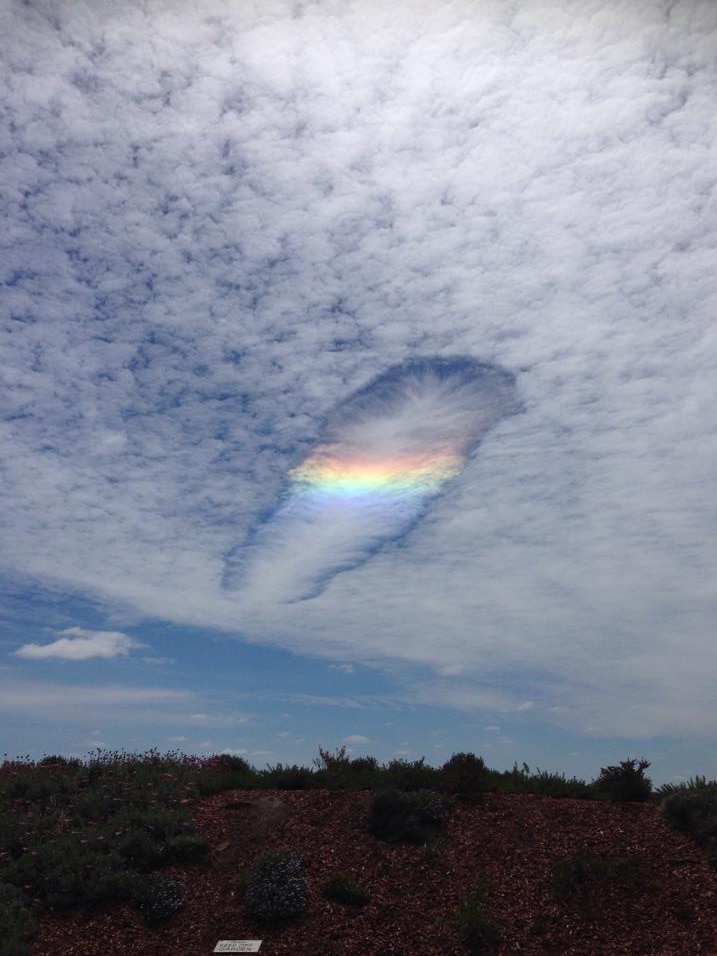 Fallstreak cloud, Victoria