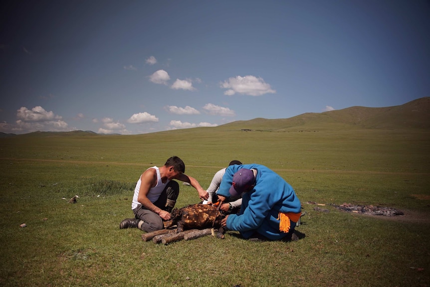 Three men slice into meat cooked over a fire in a field.