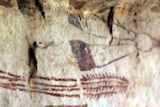 Rock art near Kalumburu in the Kimberley