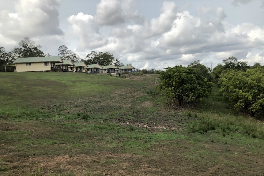 The cottages on the hill overlooking the mango trees.