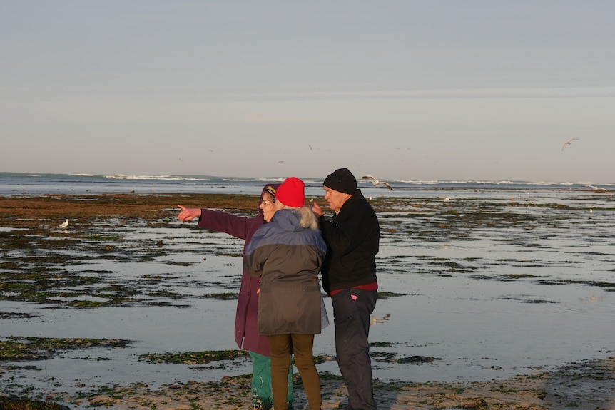 A group of people standing on a beach, pointing out to sea. 