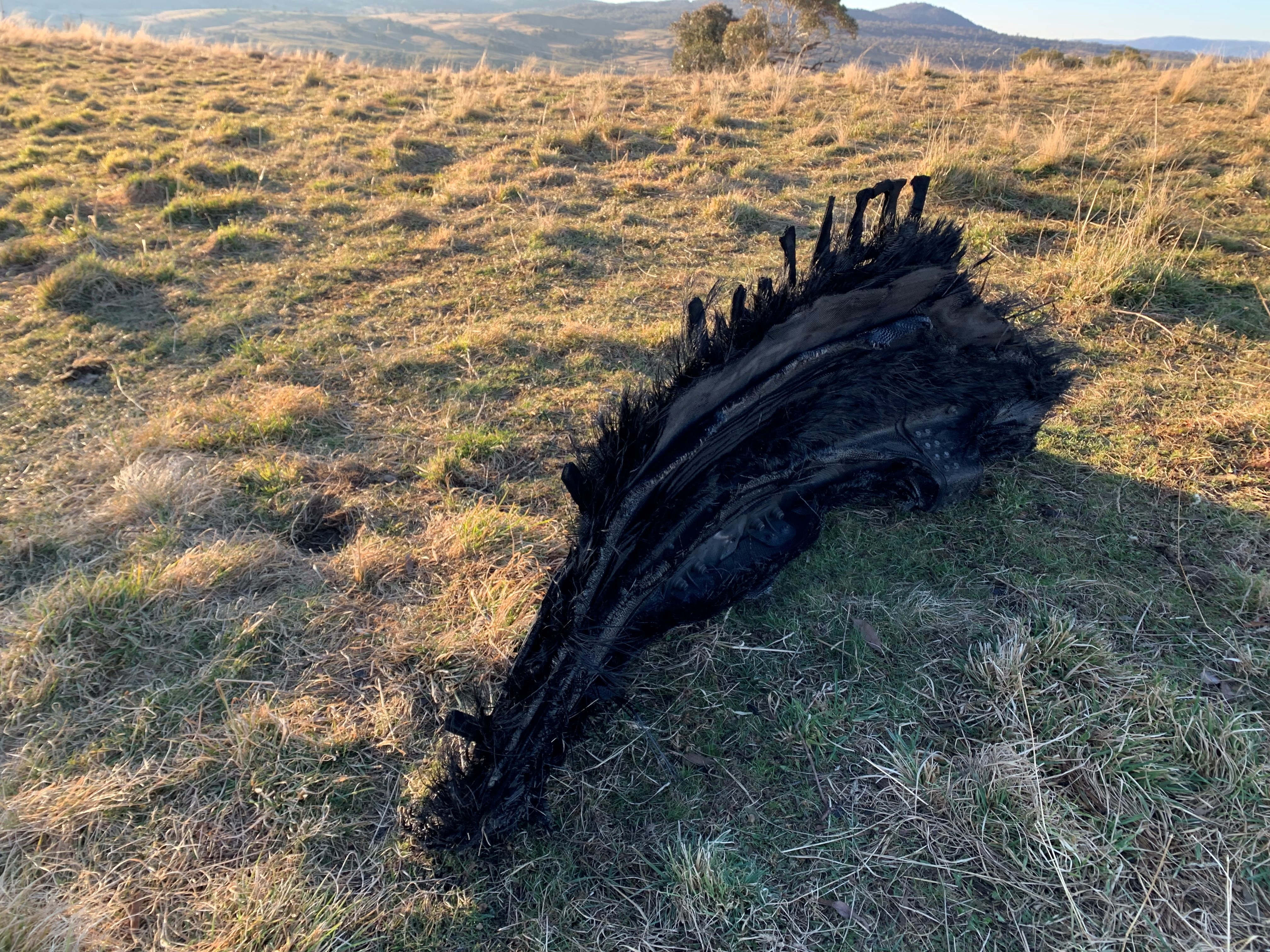 a piece of space junk in a paddock