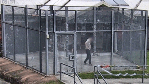 A man, whose faces is obsucred, walks around a concrete area surrounded by high metal fenced walls.
