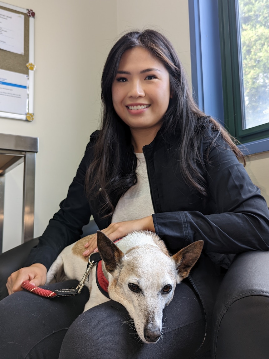 A smiling woman wearing black sits with a white dog in her lap