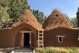 A building made from mud with two domes on top, a doorway cut into the front and a ladder leading to the roof.