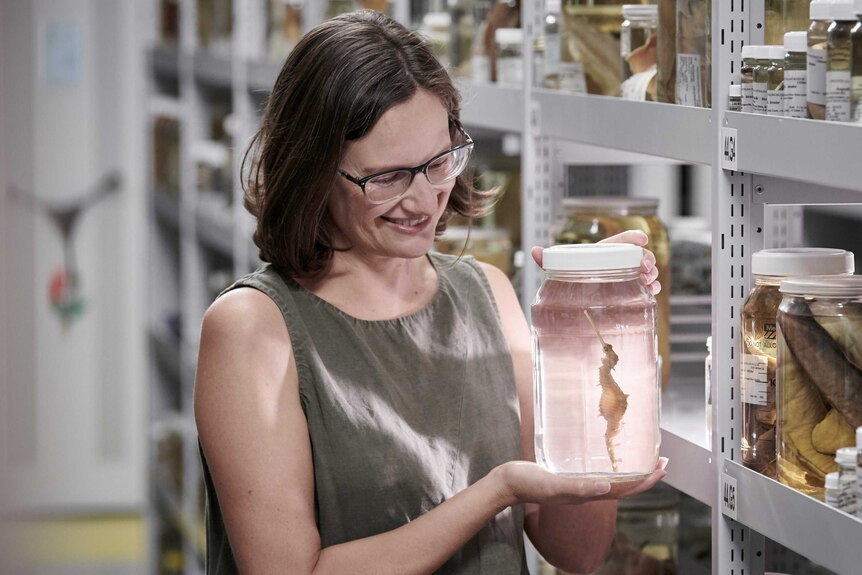 Nerida Wilson smiles and holds a jar with a seadragon specimen floating inside it.