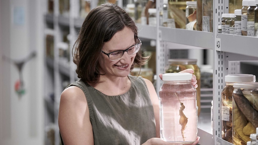 Dr Nerida Wilson stands examining a seadragon in a glass jar.