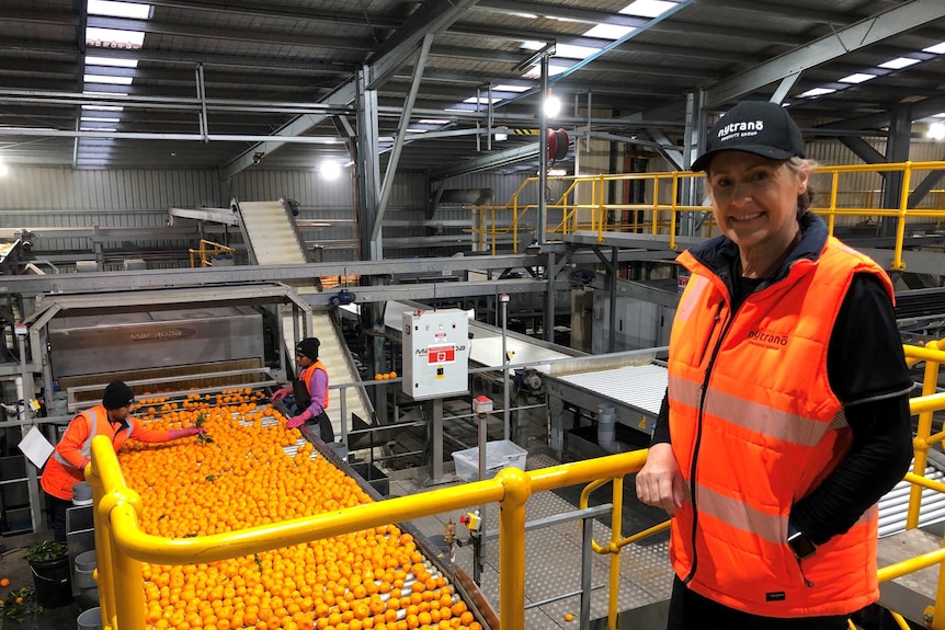 Tania Chapman standing inside the citrus packing shed. Fruit is being sorted behind her