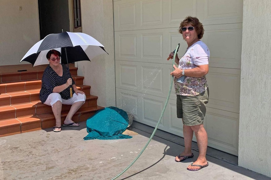 A woman with an umbrella sits near a flatback sea turtle while another woman squirts the turtle with a hose