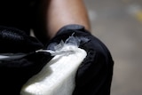 An agent wearing black gloves cuts open a brick of cocaine.
