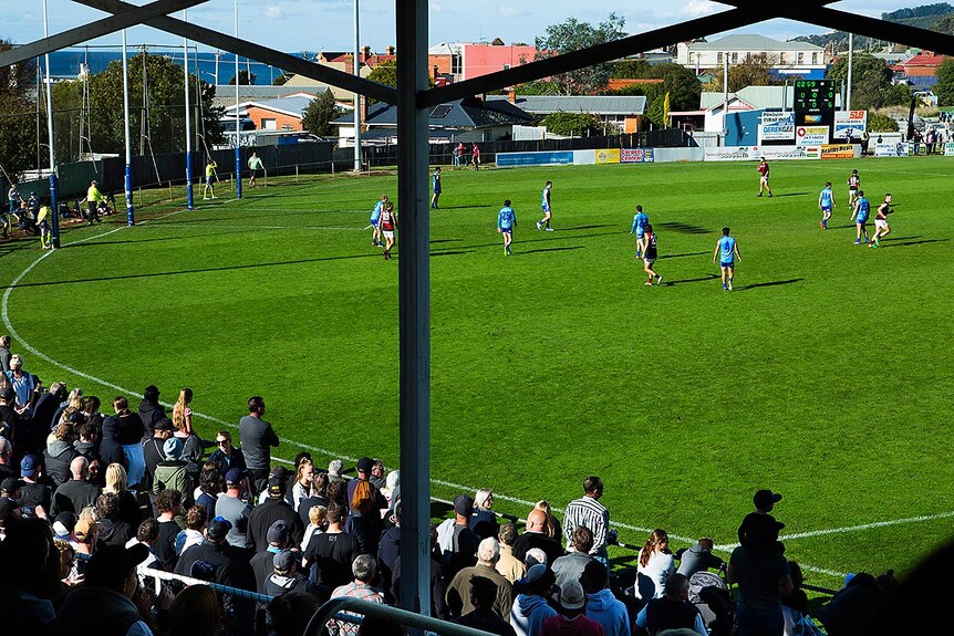A football oval with green grass, with players in blue on it.