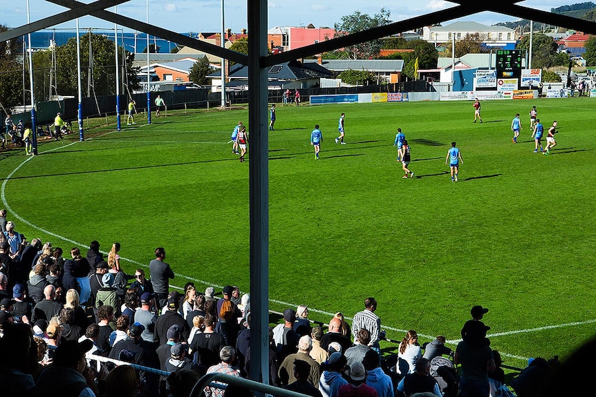 A football oval with green grass, with players in blue on it.